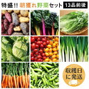 【ふるさと納税】☆畑直送☆ 福岡県糸島産 朝採れ野菜セット（13品前後）オーガニックナガミツファーム [AGE023] 16000円