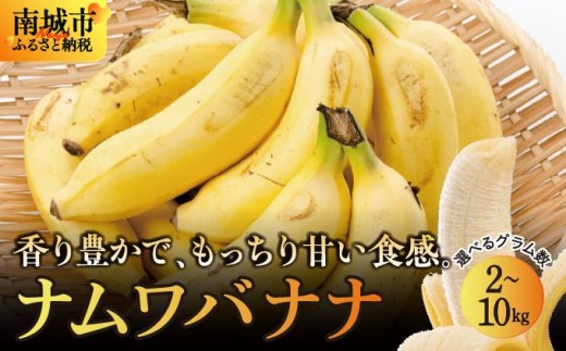 
                  【選べるkg】南城市 ナムワバナナ 2kg~10kg   I  バナナ 国産フルーツ 2000g 2kg 10000g 10kg　    沖縄県 南城市 ふるさと納税 グリーンフロッグファーム
                