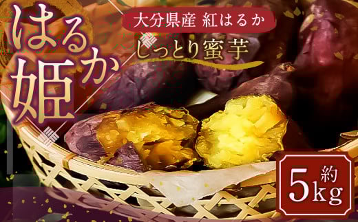 004-1137x1 【先行予約】 はるか姫 約5kg さつまいも サツマイモ 芋 いも 紅はるか べにはるか 大分県 豊後大野市 【2025年11月下旬～2026年5月下旬発送予定】