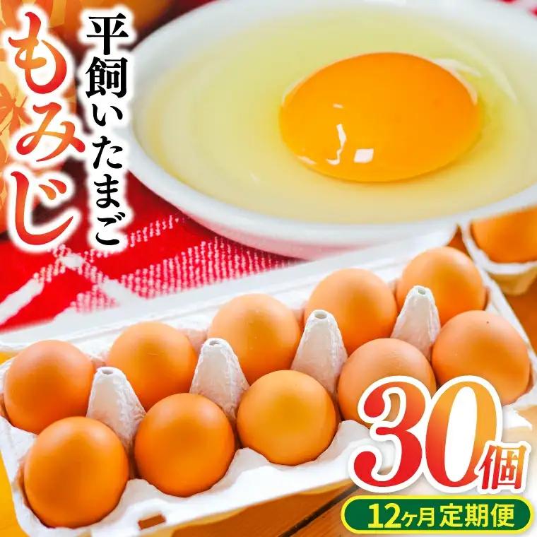 【卵 定期便12か月】純国産鶏「もみじ」平飼い卵30個x12回 AJ026 