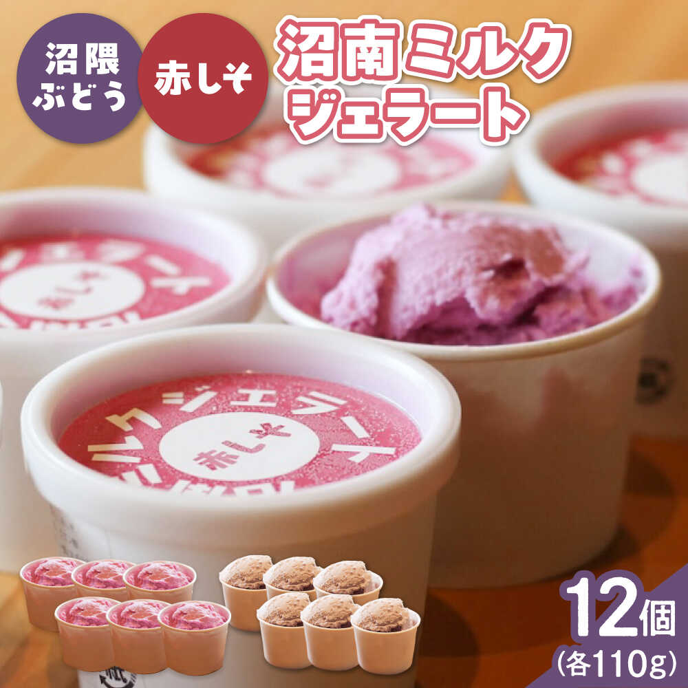 【ふるさと納税】沼南ミルクジェラート 沼隈ぶどう＆赤しそ 各6個 食べ比べセット アイス ぶどう 赤しそ アイスクリーム デザート スイーツ ご当地 おすすめ 人気 ひんやり お取り寄せ 詰め合わせ ギフト 贈り物 フルーツ シャーベット 広島県福山市/甚ごろう[BAEC049]