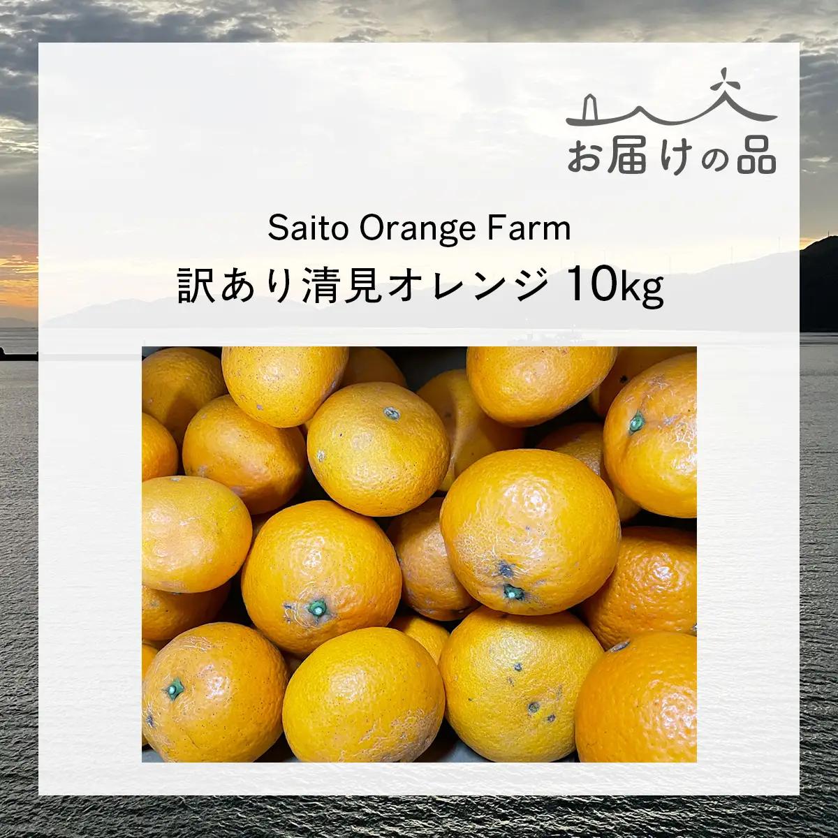 【先行予約】Saito Orange Farmの訳あり清見オレンジ10kg（2027年3月中旬頃より順次発送予定） IKTAQ010