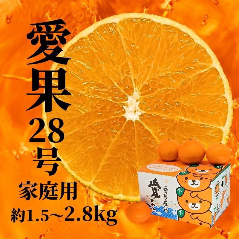 【ふるさと納税】 【2026年12月頃から順次発送】 愛果28号 (紅まどんな と同品種) 約1.5kg / 約2.8kg（ご家庭用）| 愛果28号 まどんな 柑橘 みかん 紅まどんな と同一品種 果物 くだもの フルーツ 高級 人気 お取り寄せ グルメ ギフト 期間限定 数量限定 愛媛県 松山市