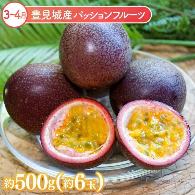【全6回】人気！沖縄フルーツ定期便 (AC020)
