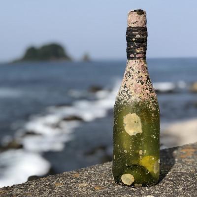 ふるさと納税 伊東市 白ワイン潜酔酒(シャルドネ)