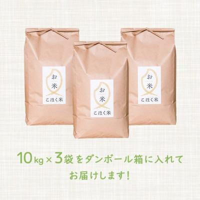 ふるさと納税 長浜市 令和6年産 滋賀県湖北産 湖北のコシヒカリ　玄米　30kg　【食味最高ランク特A 3年連続受賞】 |  | 01