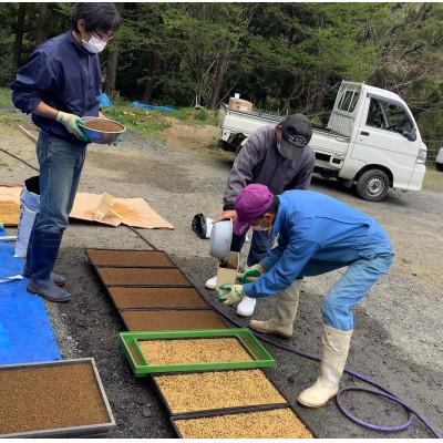 ふるさと納税 大子町 【毎月定期便】アミーゴ米  2kg【白米】(コシヒカリ・天日干し米・1年目)|茨城県 大子町全3回 |  | 03