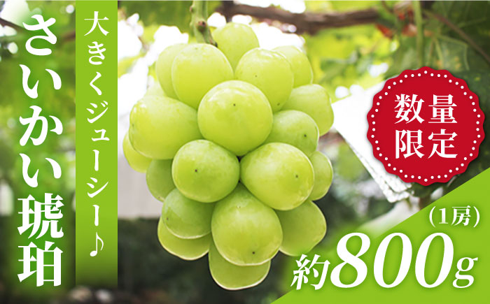 
                  マスカット 【先行予約】さいかい琥珀（雄宝）約800g（1房）＜山田果樹園＞ [CCX005] ぶどう ブドウ シャインマスカット マスカット 種なし 西海市産
                
