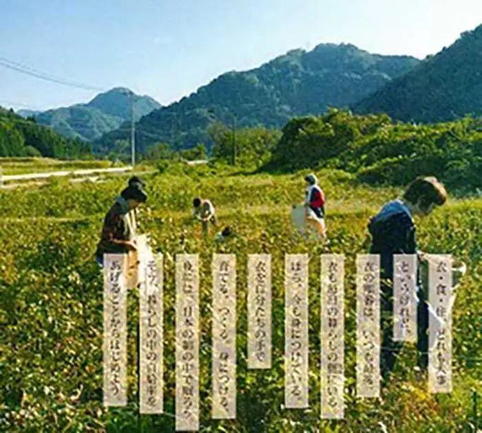 （男性用）希少な富山産の綿で作った快眠、肩腰楽・和綿まくら
