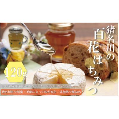 ふるさと納税 猪名川町 猪名川の百花はちみつ(烏山椒)
