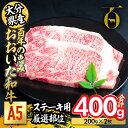 【ふるさと納税】百年の恵み おおいた和牛 A5 ステーキ用 厳選部位 (計400g・200g×2枚) 国産 牛肉 肉 霜降り ロース 肩ロース サーロイン 和牛 ブランド牛 ステーキ 冷凍 大分県 佐伯市 【FS07】【 (株)トキハインダストリー】