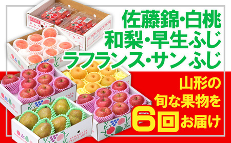 【定期便6回】☆フルーツ王国山形☆佐藤錦・白桃・和梨・早生ふじ・ラフ・りんご 【令和8年産先行予約】FS25-667 くだもの 果物 フルーツ 山形 山形県 山形市 2026年産