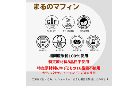 グルテンフリー ヴィーガンスイーツ10点セット（NEW01） / 米粉 パン マフィン グルテンフリー / 佐賀県 / 株式会社santecafeまる[41AHAF003]