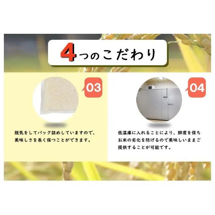 令和8年産　先行予約【定期便／全12回】無洗米 魚沼産コシヒカリ2合×10袋 〈令和8年10月下旬～発送予定〉