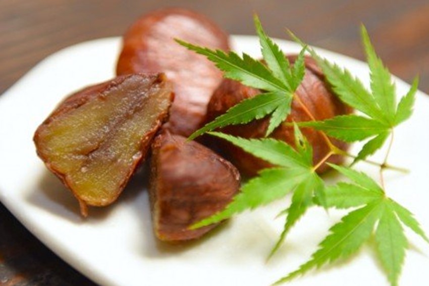 無添加こだわり 南小国産・和栗の渋皮煮セット 栗の渋皮煮 無添加 無農薬 ギフト スイーツ 栗 マロン 渋皮煮 和菓子 ギフト 贈答用 工房菜々色 熊本 阿蘇 南小国町 送料無料