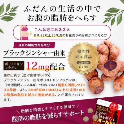 ふるさと納税 直方市 【機能性表示食品】おなかの脂肪を減らす シボールEX 1袋 |  | 01