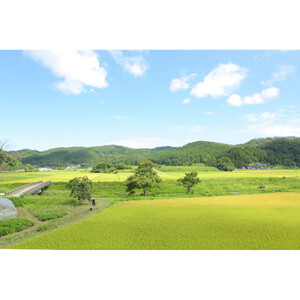 【復興支援】奥能登産「能登ひかり」米糀あまざけ500ml×3本(ブルーベリー1本、プレーン2本)
