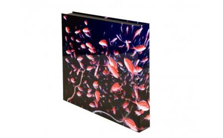 ALICE in WONDER SEA　フォトブック