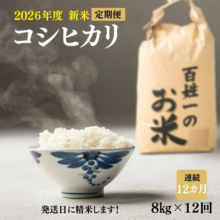【ふるさと納税】190-1001　【12回定期便】石井町産コシヒカリ8kg×連続12カ月 ※離島への配送不可