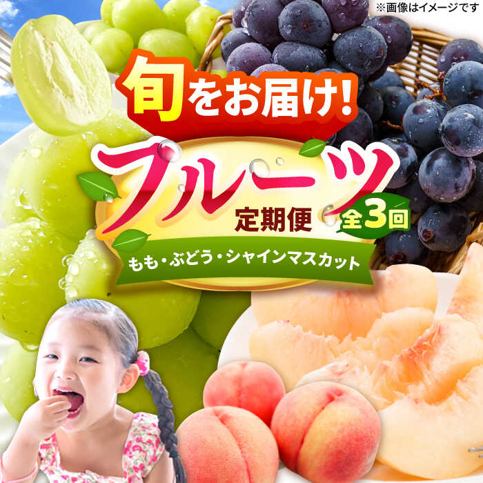 【ふるさと納税】【3回定期便】フルーツ定期便（桃/ぶどう/シャインマスカット） 広川町 / JAふくおか八女農産物直売所どろや[AFAB090]