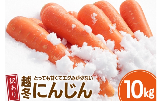 にんじん 訳あり 10kg 北陸富山の越冬人参！【期間限定発送】[マッキーファーム 富山県 朝日町 34310640] 人参 野菜 訳アリ ワケアリ わけあり 人参  ニンジン キャロット 10キロ やさい ヤサイ 常備野菜 国産 甘い あまい 不揃い ふぞろい