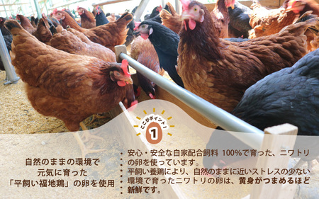 にわとり農家の卵プリン「かぼちゃ」90g × 6個セット 【かぼちゃプリン カボチャプリン たまごプリン ぷりん 卵 洋菓子 おかし お菓子 スイーツ デザート 濃厚 ギフト おすすめ 美味しい 人気