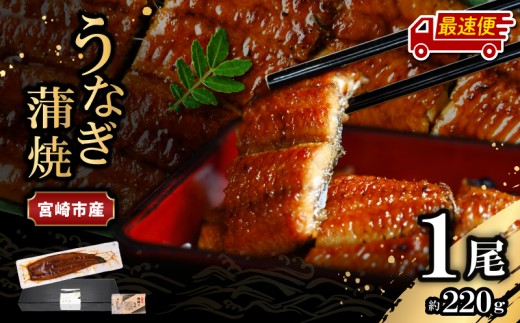 【最速便】【日時指定可能】宮崎県宮崎市産　うなぎの蒲焼　約220g（約220g×1尾）タレ・山椒セット_M325-009-2W