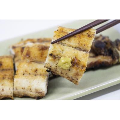 ふるさと納税 高知県 高知のお魚定期便【E06013】 |  | 02