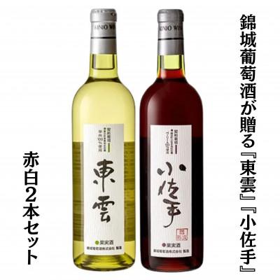 ふるさと納税 甲州市 錦城葡萄酒が贈る『東雲』『小佐手』赤白ワイン2本セット　B15682