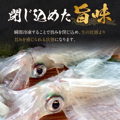 ふるさと納税 京丹後市 京丹後産『海の京都』の逸品!活白イカ姿造り(クリスタル白いか)中サイズ 1杯(200g前後) 冷凍 |  | 02