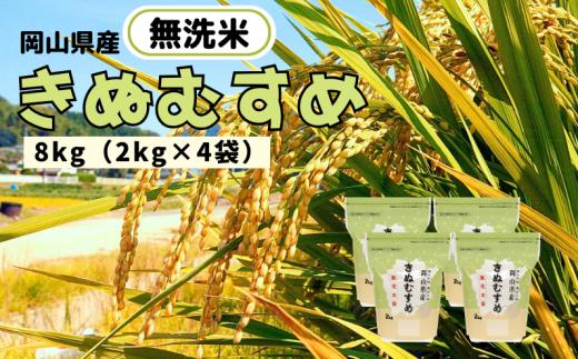 【令和7年産】無洗米 きぬむすめ 8kg 2kg×4袋 岡山県産 【先行予約 2025年11月上旬から順次発送】