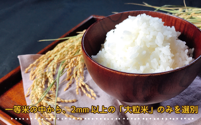 令和6年産 定期便-3ヶ月連続お届け 邑南町瑞穂産コシヒカリ10kg(5kg×2)