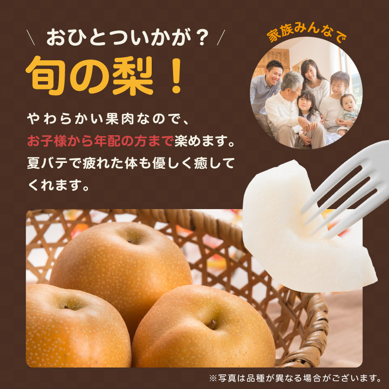 南信州産 梨 約5kg ＜ 幸水 ・ 豊水 ＞ いずれか1品種 おまかせ ＜2026年8月中旬～9月中旬発送＞| 梨 なし ナシ 幸水 豊水 果物 くだもの フルーツ 長野県 信州 南信州 飯田