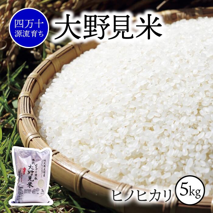 【ふるさと納税】 米 5kg ヒノヒカリ 白米 新米 お米 特別栽培 大野見米 ご飯 ひのひかり 5キロ 四万十 高知