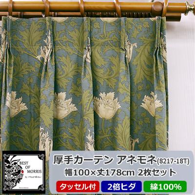 ふるさと納税 茅野市 厚地カーテン アネモネ(18T) 幅100×丈178cm×2枚　Fabric by ベストオブモリス