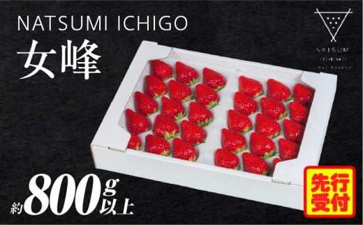 NATSUMI ICHIGO 女峰 約800g以上 プレミアムBOX【2026年1～6月配送】 | スイーツ いちご ストロベリー 女峰 苺 冷蔵 フルーツ 旬 果物 香川県 酸味 甘味 デザート 色 鮮やか 青果物 贈答 プレゼント 贈り物 旬 おすすめ |_mk060-004