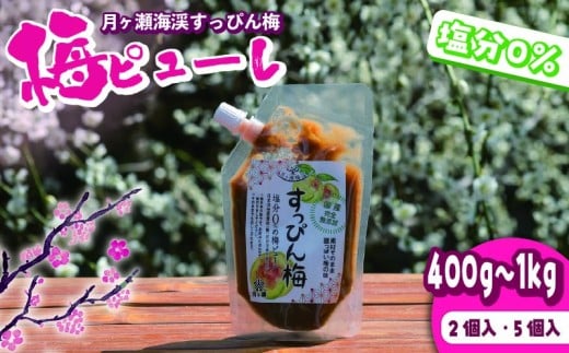 梅ピューレ 月ヶ瀬梅渓 すっぴん梅 200g×5個入り 塩分０パーセント 梅 うめ うめぼし 梅干し 白加賀梅 国産 無添加 保存料 不使用 調味料 ピューレ 料理 香り 旨味 株式会社 小谷商店 月ヶ瀬 奈良県 奈良市 なら U-77