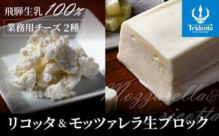 飛騨生乳100％ リコッタチーズ 1個（250g）& モッツァレラチーズ生ブロック 1個（750g）| リコッタ モッツァレラブロック 冷蔵 サラダ お菓子 低温殺菌 新鮮 国産 乳製品 無添加 飛騨高山 トリデンテ LF007