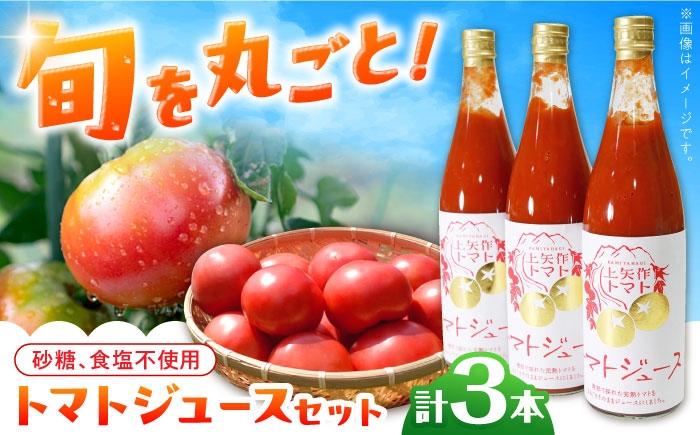 
                  石川農園 みんなで飲もっか！トマトジュースセットＥ /トマトジュース ジュース 飲料 トマト飲料 野菜飲料 トマト 完熟トマト とまと 美肌 ビタミン セット 野菜 やさい 砂糖不使用 食塩不使用 朝食 お取り寄せ 贈答 ギフト 恵那市産 岐阜県 / 恵那市 / クリエイティブファーマーズ [AUAH003]
                