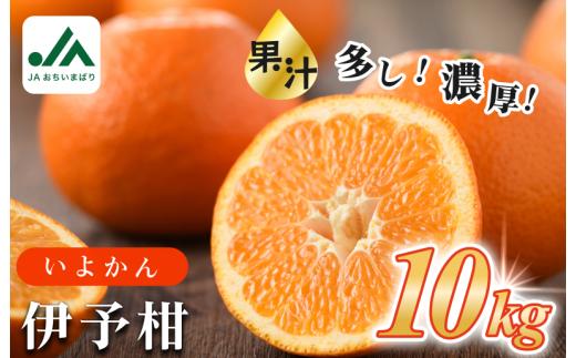 【先行予約】 ＼定番商品／伊予柑 10kg [KB02080] 2027年1月初旬～2月末に順次発送予定 10kg 期間限定 国産 人気商品 いよかん 果物ギフト おいしい 美味しい 愛媛産 みかん 柑橘 フルーツ 果物 甘い ふるさと フルーツ JA【毎年売切れ】