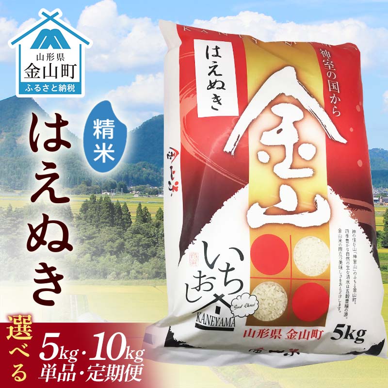 【ふるさと納税】＼選べる容量・回数／ 令和7年産 金山産米 はえぬき 【精米】 5kg 10kg 単品 3ヶ月 6ヶ月 定期便 米 お米 白米 ご飯 精米 ブランド米 送料無料 東北 山形 金山町 F4B-0713var