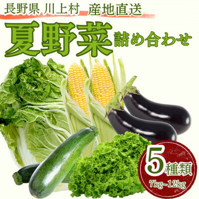 【ふるさと納税】【訳アリ】信州の冷涼な高原で育った 夏野菜詰め合わせ(5種類以上)【配送不可地域：離島】【1609889】
