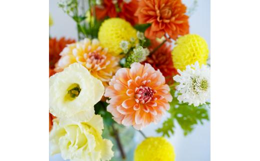 《12ヶ月定期便 》芸西村産季節の花束・フラワーアレンジメント（ブルースター・トルコキキョウ・ダリヤ）【生産者直送】_イメージ4