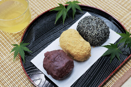 おはぎ 冷凍 よしかわの北海道おはぎ 3種 食べ比べセット つぶあん きなこ ごま 8個入 各2セット 計48個