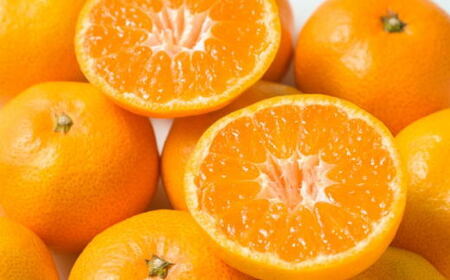 【食べごたえ十分】有田みかん大玉　9kg（3Lサイズ・秀品）※2024年11月中旬～1月中旬頃順次発送予定（お届け日指定不可）【tec879f】