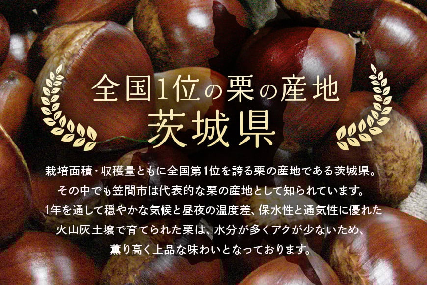 超特選! 熟成させた 笠間の焼栗 愛宕山 冷蔵 栗 くり クリ 焼き栗 電子レンジ レンジ調理 焼栗 きんとん 果物 デザート 栗ご飯 栗ごはん フルーツ 秋の味覚 スイーツ 熟成栗 和スイーツ プレ