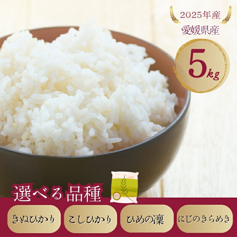 【ふるさと納税】お米 5kg きぬひかり こしひかり ひめの凜 にじのきらめき【選べる品種】令和7年産 愛媛県 米 愛媛県産 精米 米 こめ コメ 白米 ごはん ライス 愛媛 伊予市