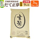 【ふるさと納税】《定期便9ヶ月》【令和6年産・玄米】宮城県栗原産 だて正夢 毎月5kg (5kg×1袋)×9ヶ月