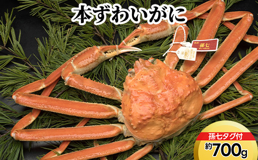 本ずわいがに約700g（孫七タグ付）｜ずわい蟹 ずわいガニ ズワイガニ 本ズワイガニ 本ずわいがに カニ 蟹 かに かにしゃぶ カニしゃぶ 蟹しゃぶ かに鍋 カニ鍋 蟹鍋 かに味噌 カニ味噌 かにみそ 魚貝類 魚介類 ボイル 国産 富山 富山湾 北陸 富山カニ 北陸カニ 富山かに 北陸かに 富山蟹 北陸蟹 ※2026年11月～発送