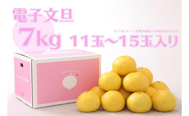 【ふるさと納税】 ハッピーフルーツ果樹園 電子文旦 7kg 贈答用 文旦 ブンタン ぶんたン 柑橘 みかん 蜜柑 柚子 ユズ ゆず 果物 フルーツ 特産品 名産品 お歳暮 お中元 贈り物 ギフト 御礼 お返し 季節 旬 甘い 酸味 ジューシー 高知県 四国 宿毛市 高知市
